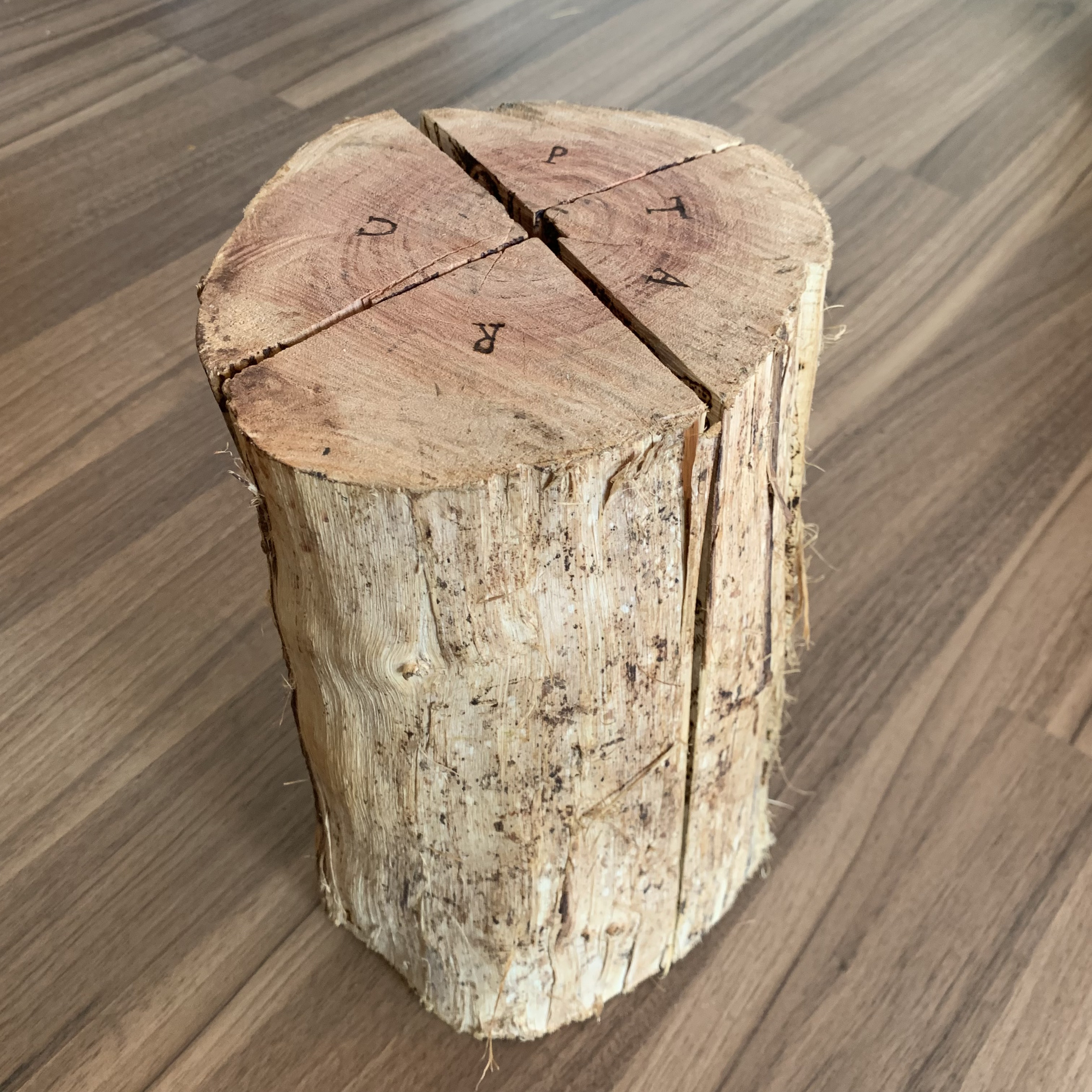 Rupta — imagem 5