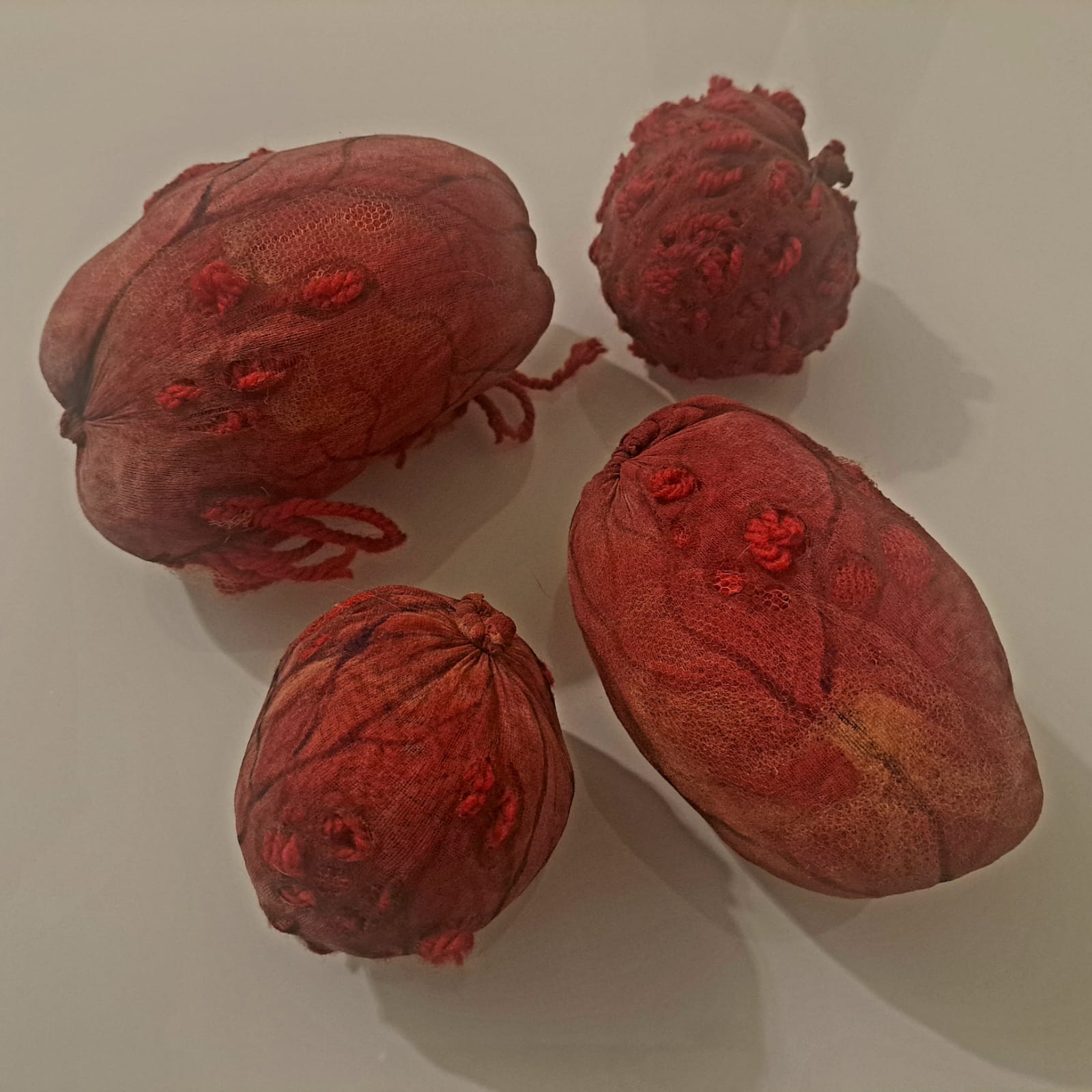 Fofinhos