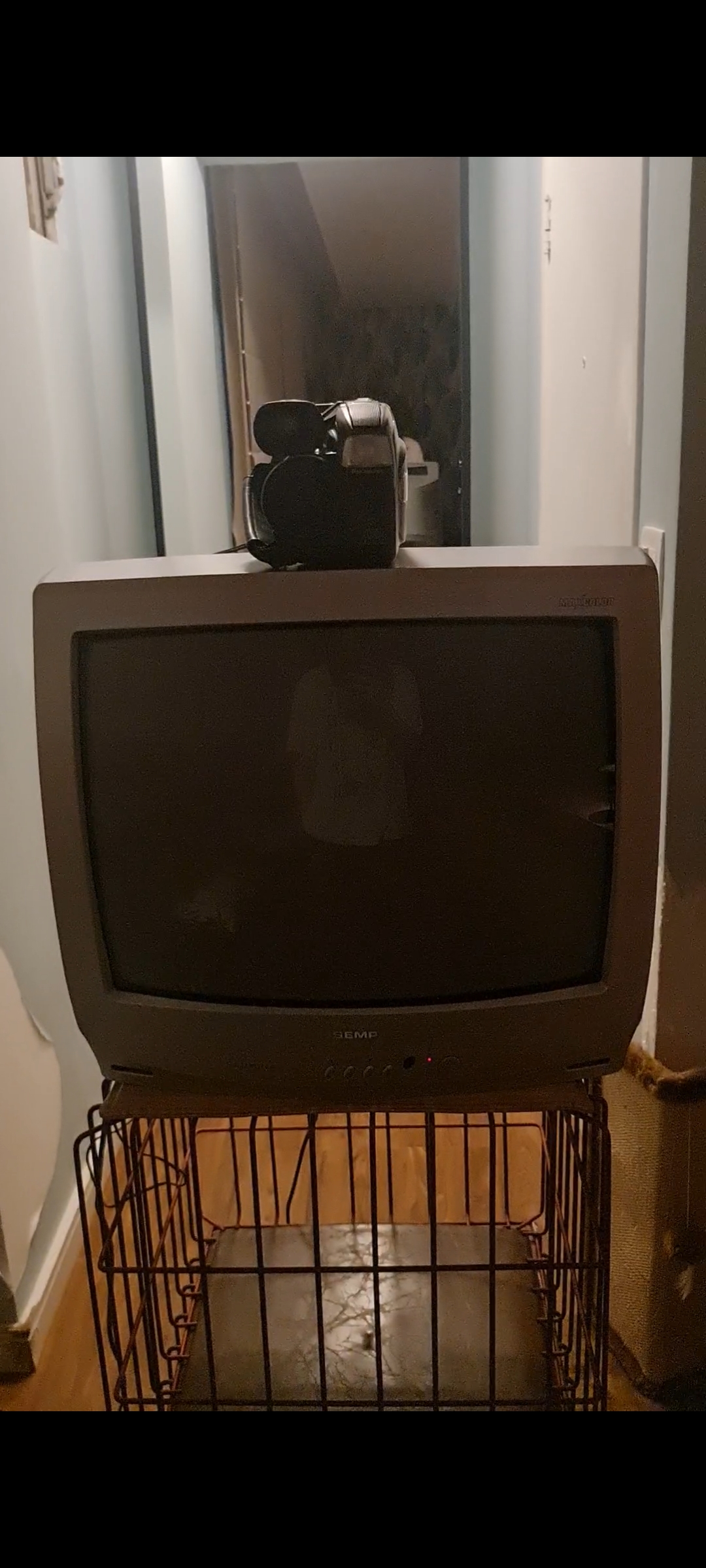 (Sem título) — imagem 2