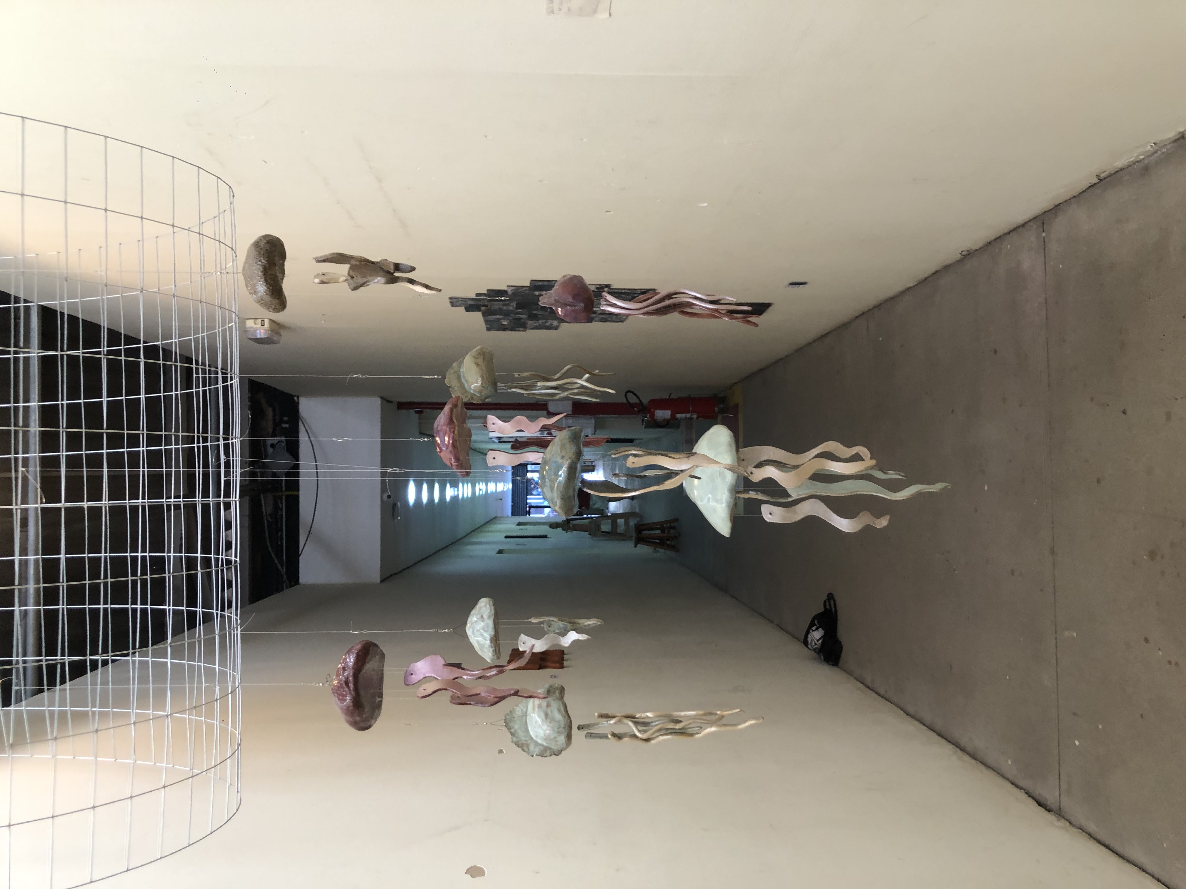 Águas-Vivas  — imagem 3