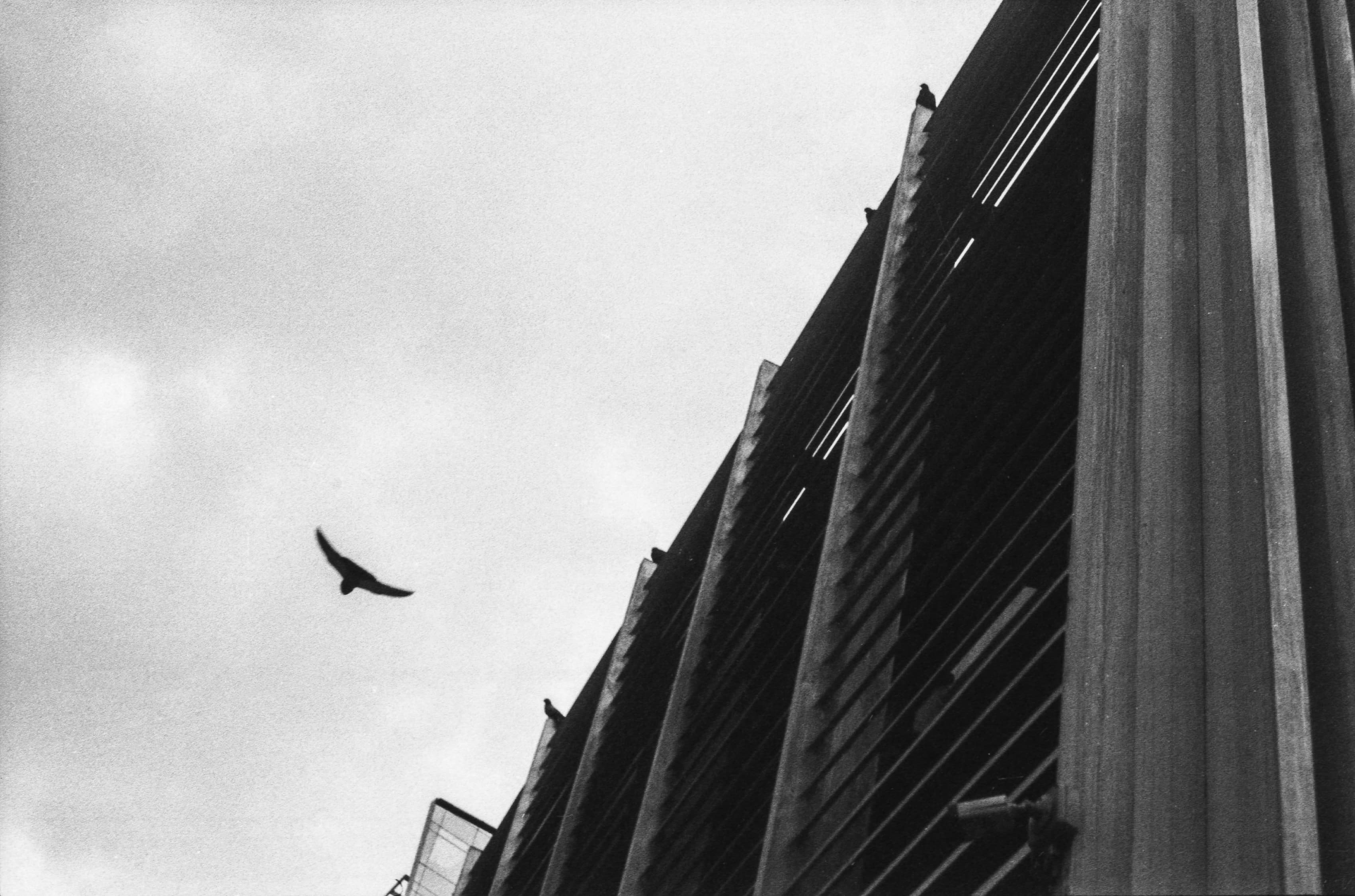 Tempo Congelado — imagem 5