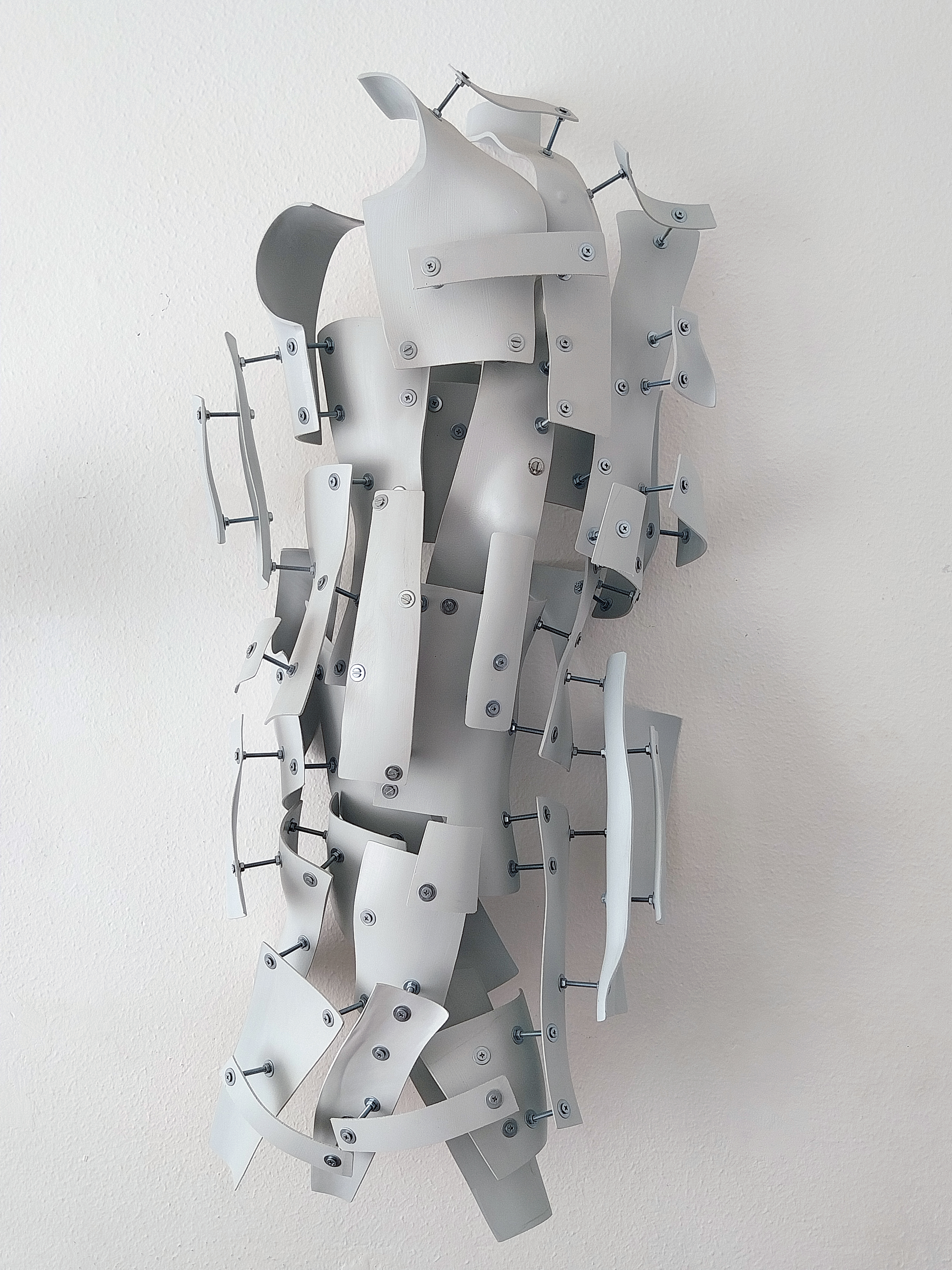 Anatomia Incerta
