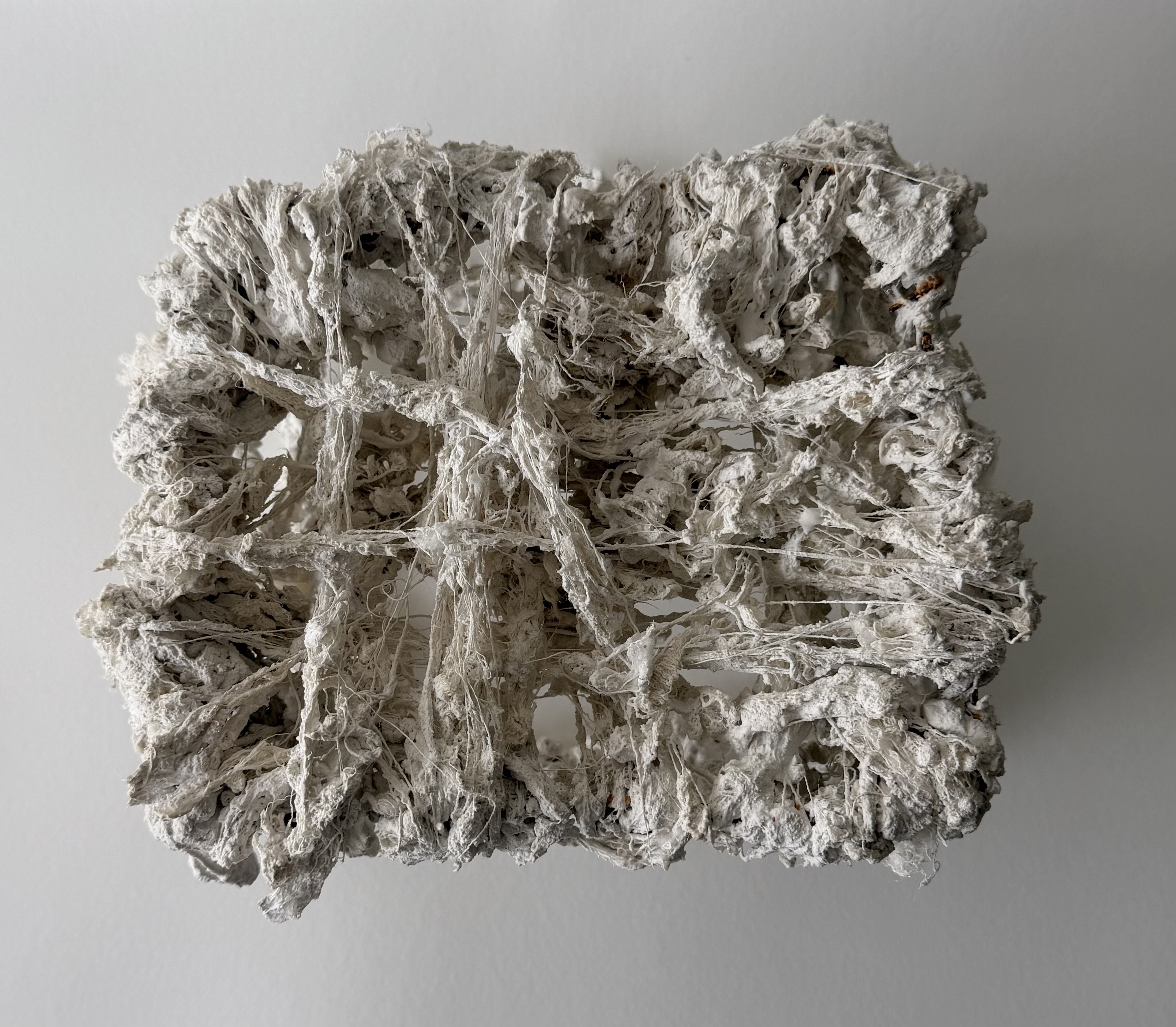 Corpo-Labirinto — imagem 3
