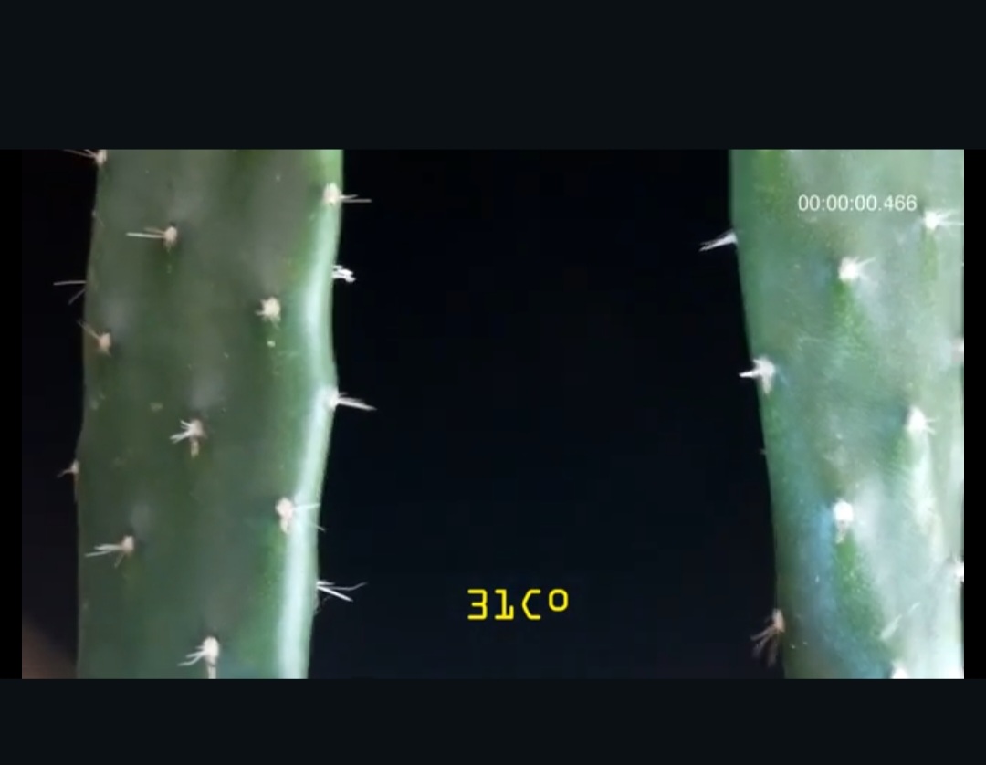 Interface ÁRIDA  — imagem 3