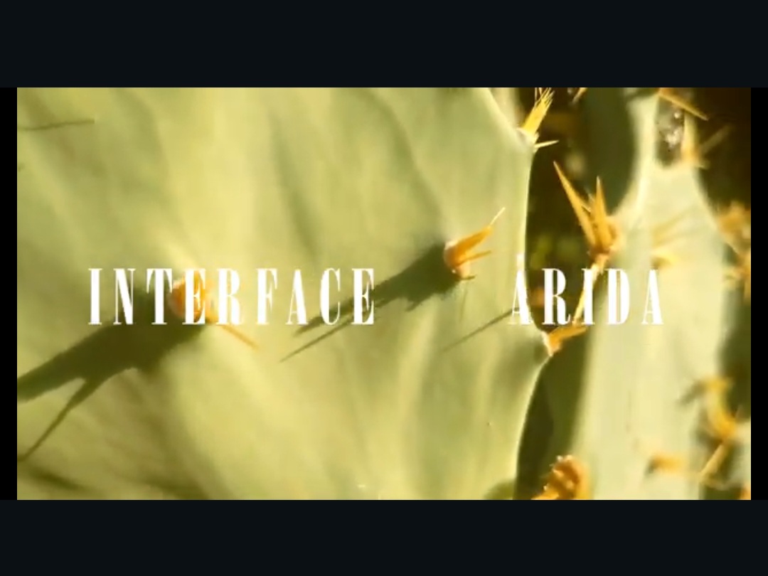 Interface ÁRIDA  — imagem 5