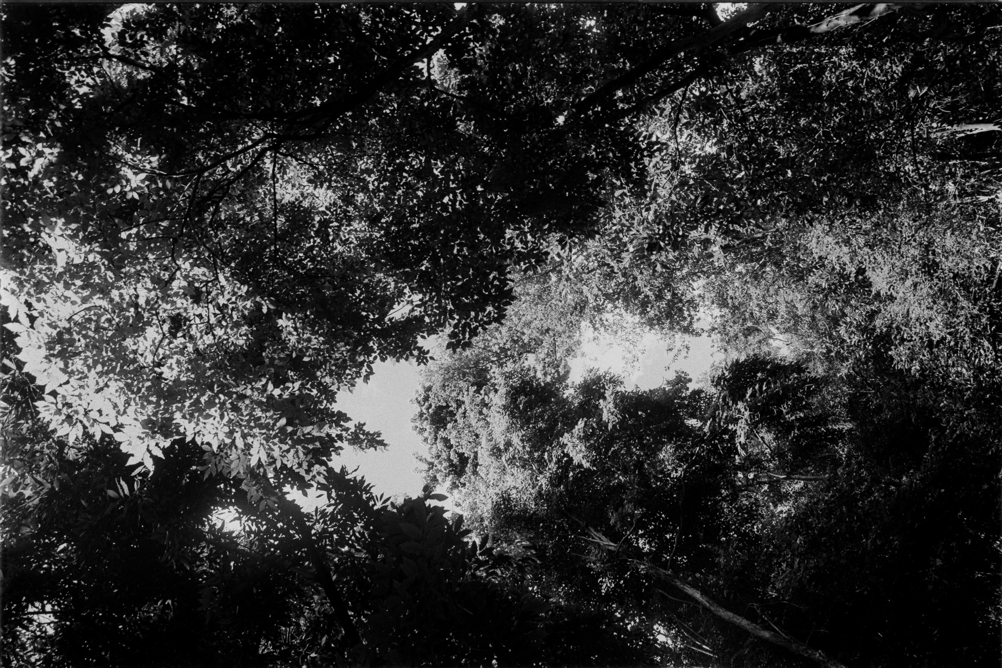 Magnitude — imagem 5